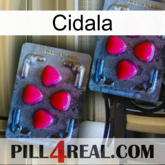 Cidala 14